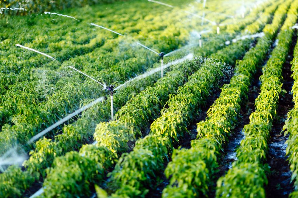 Agricultural Irrigation